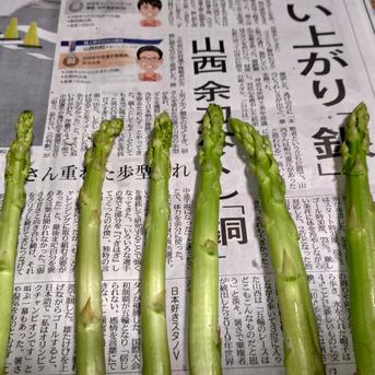 【朝採】 アスパラガス B品L~2Lサイズ 2kg 【収穫当日発送】 2kg 野菜/アスパラガス通販