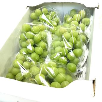 【訳有り】瀬戸ジャイアンツ2kg 瀬戸ジャイアンツ2kg 果物/ぶどう通販