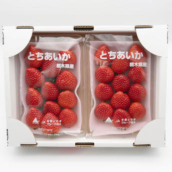 とちあいか平パック Aサイズ2箱4パック | 果物/いちご 産直アウル 農家