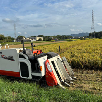 古米※※※ 令和6年産 きぬひかり 玄米 10kg | 米・穀物/玄米 産直アウル