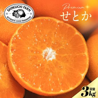 贈答用】柑橘の大トロ せとか 3kg ～とろける濃厚果実～ ｜ 果物