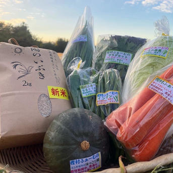 樫村ふぁーむの旬の野菜お任せBOX＋陽のいぶき(コシヒカリ)2kg 野菜6~8品、米2kg 野菜/野菜セット・詰め合わせ通販