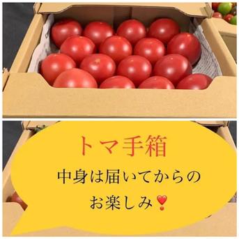 龍宮セレブ＆トマ手箱✨✨ 1.8キロ以上 野菜/トマト通販