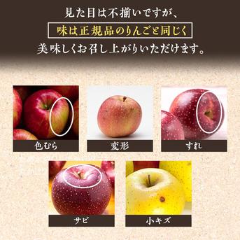 青森県産りんご 蜜入り 昔ながらの自然タップリ [メディアでお声が