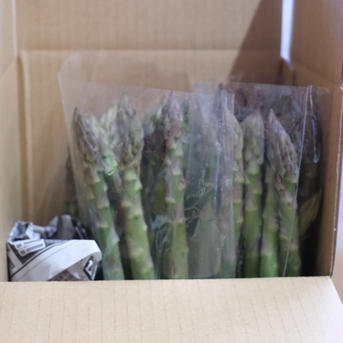 那須の麓の朝採りふぞろいなアスパラガスたち　S〜2Lサイズおまかせ2,000g 2,000g 野菜/アスパラガス通販