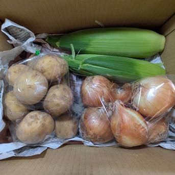 イチジクと野菜のセット イチジク900g、トマト700g、ジャガイモ1.2kg、タマネギ1kg、トウモロコシ800gの詰め合わせです。 野菜/野菜セット・詰め合わせ通販