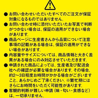 選果落ち 訳あり商品 熊本県産 国産 生 青唐辛子 約500g 枝あり 枝なし
