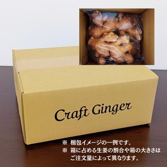 高知県産 生姜 しょうが B品 20kg 農家直送 高知県産 生姜 2kg｜低農薬栽培・熟成仕上げ｜壬生農園の