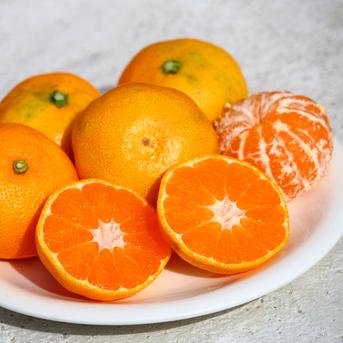 食品 10キロも♪大坊みかん♪3Sサイズ