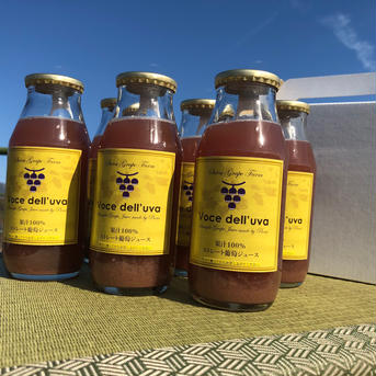 ぶどうストレートジュース「Voce dell’uva」６本箱 180ml×6本 飲料/ジュース通販