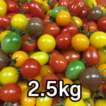 サザキ農園の『ミックスミニトマト』彩りセット2.5kg 2.5kg 野菜/トマト通販