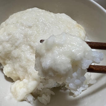 越冬　熟成長芋4本（一本当たり350g）計1.5kg前後 4本（一本当たり350g）計1.5kg前後 野菜/長いも・山いも通販