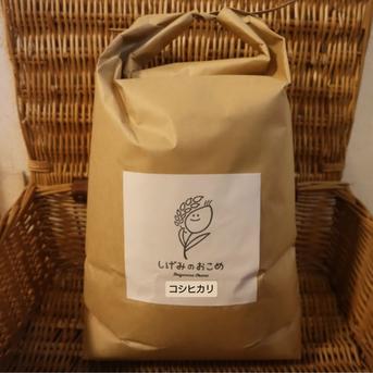 減農薬コシヒカリ 精米 10kg 送料込み 減農薬コシヒカリ10kg ｜ 米・穀物/米/精米 産直アウル 農家・漁師など
