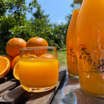 太陽と海🍊オリジナルみかん🍊ジュース（720ml✖️4） 720ml✖️4 飲料/ジュース通販