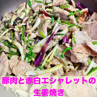 土付き赤白エシャレット500g 農薬・化学肥料不使用【鮮度保持】 赤白500g 野菜/その他野菜通販