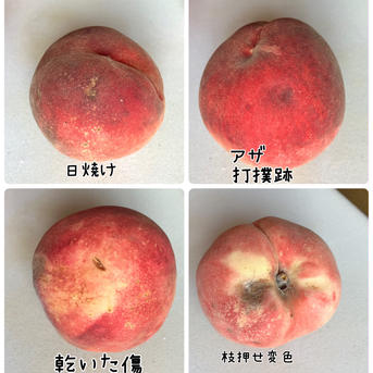 お得！＜訳あり＞【南アルプスの桃🍑幸茜】４キロ 減農薬/無肥料/除草剤不使用 ４キロ(約15個前後) 果物/もも通販