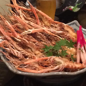 駿河湾産手長エビ（アカザエビ）10-16尾/500ｇ 手長エビ（10-16尾）/500ｇ×2 魚介類/エビ通販