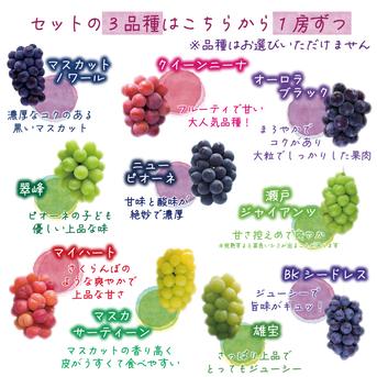 4M-2家 花笑み農園 岡山『ぶどう4種MIX』（シャイン＋厳選3種）2kg