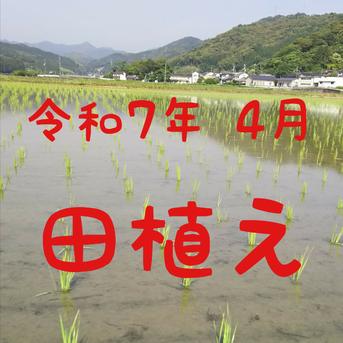 がまぐち 送料込み 令和6年産 高知県産 コシヒカリ 玄米30㎏(袋込み) 送料込み 令和7年産 高知県産 コシヒカリ 玄米30㎏(袋込み) | 米