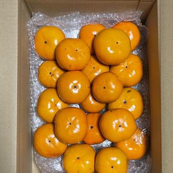 訳あり】群馬県産 甘柿 次郎(じろう)柿 無農薬 3kg | 果物/柿 産直