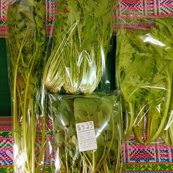 エリア限定☆お楽しみ野菜セット1セット限定　フードロス対策　パチャママ農園 お楽しみ野菜 野菜/野菜セット・詰め合わせ通販