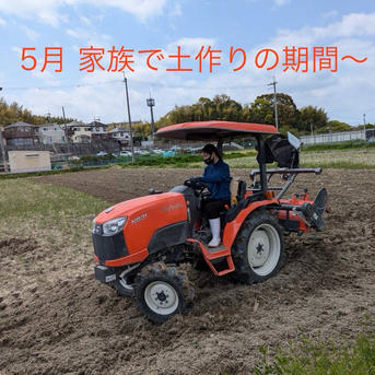 ヒノヒカリ 令和7年秋 10kg ｜ 米・穀物/米/精米 産直アウル 農家 