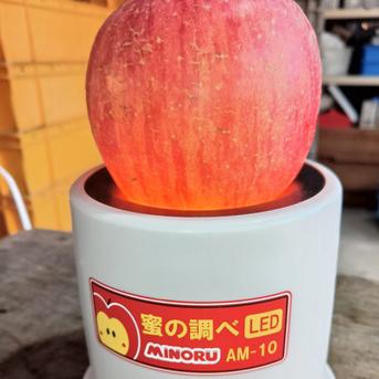 家庭用のりんご🍎サンふじ🍎大玉～中玉サイズ14玉入り ｜ 果物