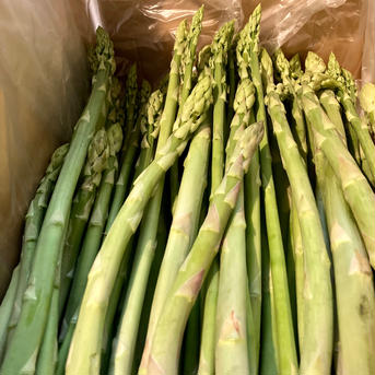 【訳あり品です】900g 訳あり900g 野菜/アスパラガス通販