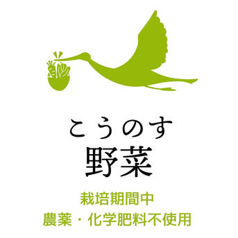 わけぎ1kg 農薬・化学肥料不使用 分葱/小ねぎ 1kg 野菜/ねぎ通販