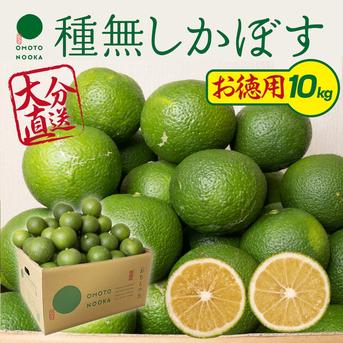 【お徳用・訳あり品】超便利な種無しかぼす約10kg 種なし徳用かぼす10kg 果物/香酸柑橘(ライム・レモン等)通販