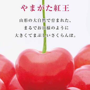 数量限定 朝採り当日発送 山形が誇る大玉品種【やまがた紅王】 ｜ 果物