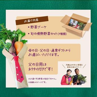 野菜ブーケ ＆ 情熱野菜 セット9品 【 母の日 父の日 選べる 贈答用