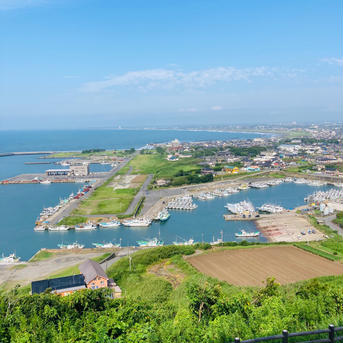 限定値下げ　訳あり活伊勢海老700〜750g×2匹 700〜750g×2匹 魚介類/エビ通販