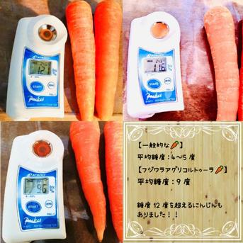 【訳ありにんじん】4.5kg　見た目はごめんね💦完熟掘り！皮ごと食べられる甘くて美味しい個性派にんじん 訳ありにんじん4.5ｋｇ 野菜/人参通販