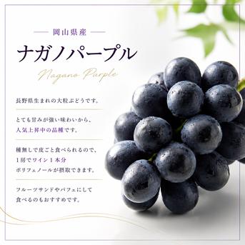 岡山県産『ナガノパープル』900g ｜ 果物/ぶどう 産直アウル 農家