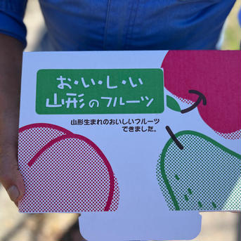 一箱限定　マイハート♥️3房入り 約１キロ 果物/ぶどう通販