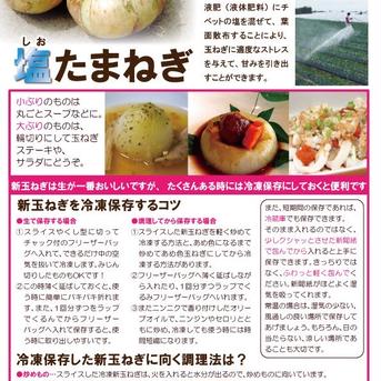 塩たまねぎ 5㎏ 野菜/玉ねぎ通販