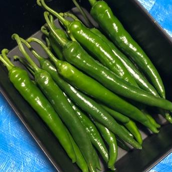 辛さ薫る　激辛青唐辛子　1kg 青唐辛子　1kg 野菜/その他野菜通販