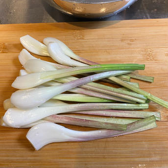 シャキシャキ朝採れ 島らっきょう 島らっきょう1kg 野菜/その他野菜通販