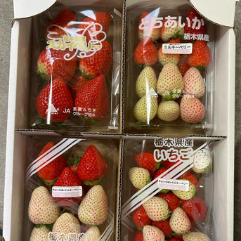 ご自宅用☆いちごのミステリーパック福袋 ｜ 果物/いちご 産直アウル