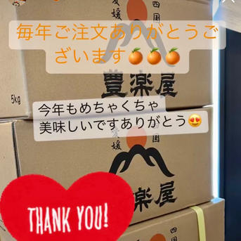 最高級】真穴（まあな）産地直送 極上みかん S〜Lサイズ 10キロ 贈答