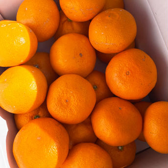 送料無料❗️ 有田みかん🍊和歌山県有田産　3Lサイズ　※北海道沖縄は配達不可 5kg 果物/温州みかん通販