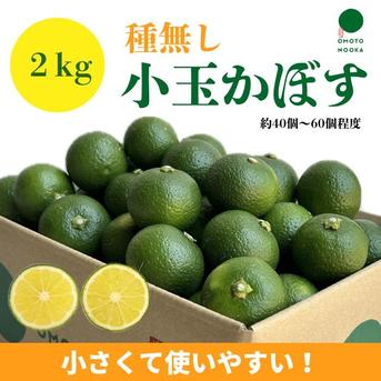 小さくて使いやすい！種無し小玉かぼす2kg（約40～60個） 種なしかぼす小玉2kg 果物/香酸柑橘(ライム・レモン等)通販
