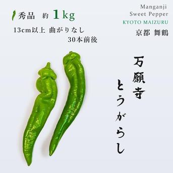 京都・舞鶴産】朝採れ直送 万願寺とうがらし 秀品 13cm以上 約1kg