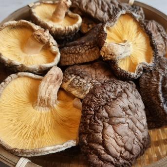 香信（こうしん）中葉 120g（60g✕2個）原木乾しいたけ 大分県国東産