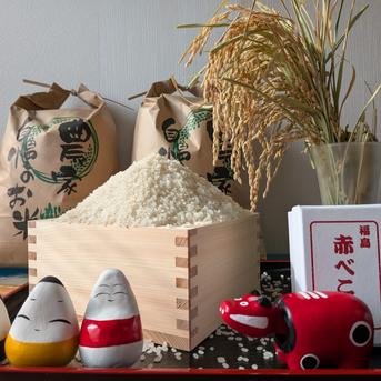 食品 農家直販 香川県産 令和8年産 新米 コシヒカリ 白米 10kg