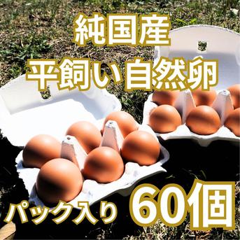 【パック入り｜送料無料！60個】とれたて純国産平飼い自然卵（有精卵）全て国産・添加物／保存料不使用｜大自然の恵みをそのまま提供 60個 卵/鶏卵通販