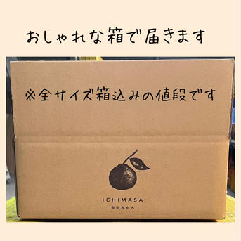 【超完熟宮川早生】屋根かけ越冬みかん　3キロMサイズ家庭用　有田みかん　早生みかん 3キロMサイズ 果物/温州みかん通販