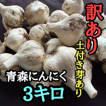 訳あり・土付き芽あり】青森にんにく白玉王（中小玉）3kg ｜ 野菜