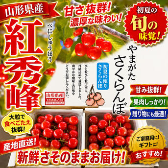 特別販売 山形県産さくらんぼ 紅秀峰 ｜ 果物/さくらんぼ 産直アウル